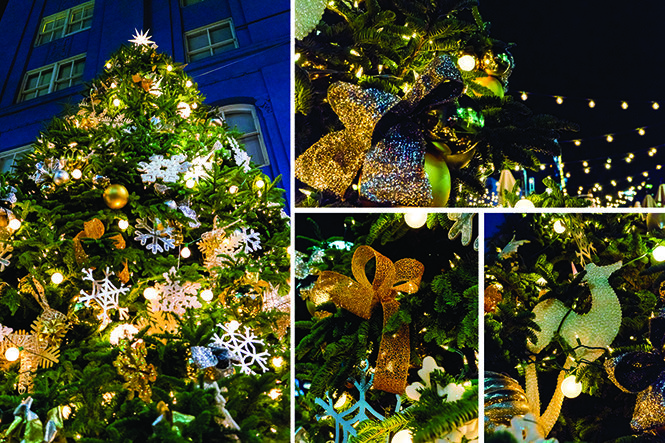 Holiday Season Lights up With Christmas Tree Lighting Ceremony